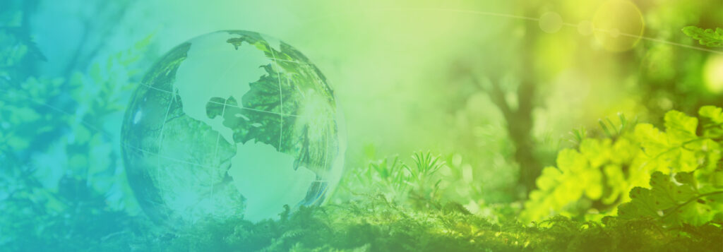 Cum te poate ajuta un OIREP cu raportarea catre autoritatea competenta pentru Protectia Mediului?