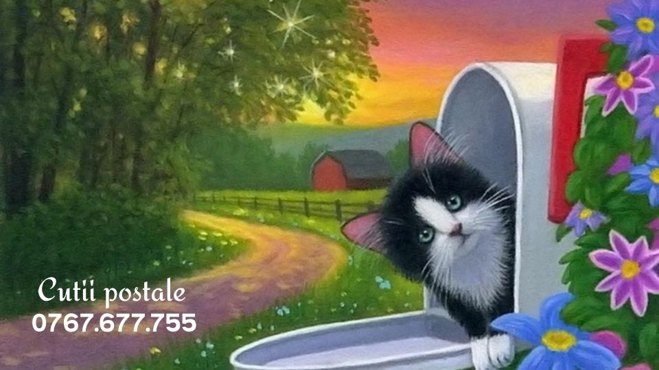 cutiipostalebloc.ro