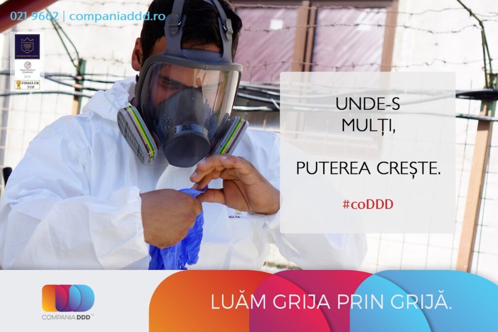 Plosnite de Pat vs. Alte Daunatoare: Cum Sa Le Distingi