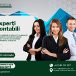 Geseidl Consulting Group