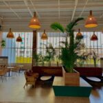 Mituri în design interior: ce să NU mai crezi dacă vrei o amenajare reușită