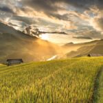 3 Unelte de care ai neapărată nevoie în gospodăria ta și utilitatea lor