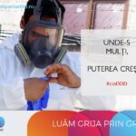 Plosnite de Pat vs. Alte Daunatoare: Cum Sa Le Distingi