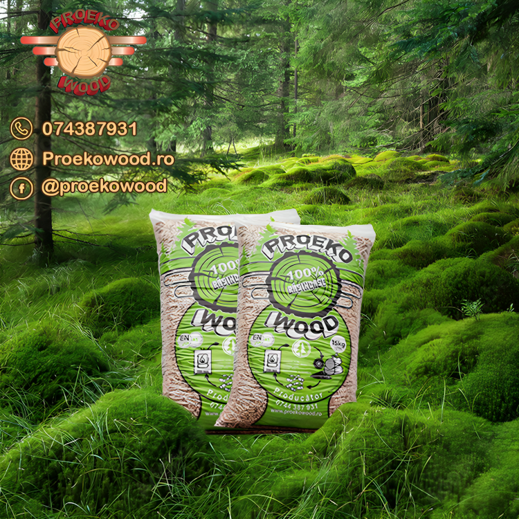 Peleți Timiș – soluții ecologice și rentabile  în lumina altor opțiuni energetice