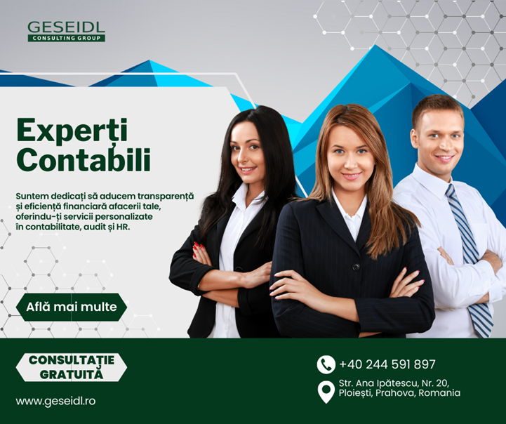 Geseidl Consulting Group