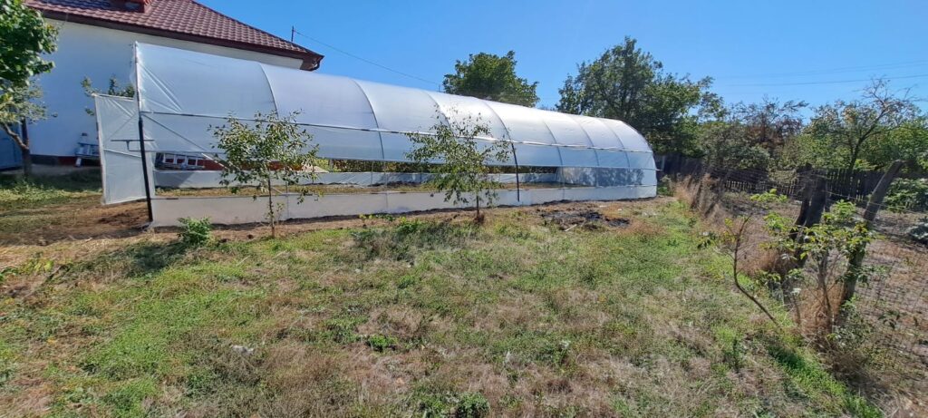 Cum a transformat o familie din Cluj grădina casei într-o mică fermă de legume cu ajutorul unui solar de grădină